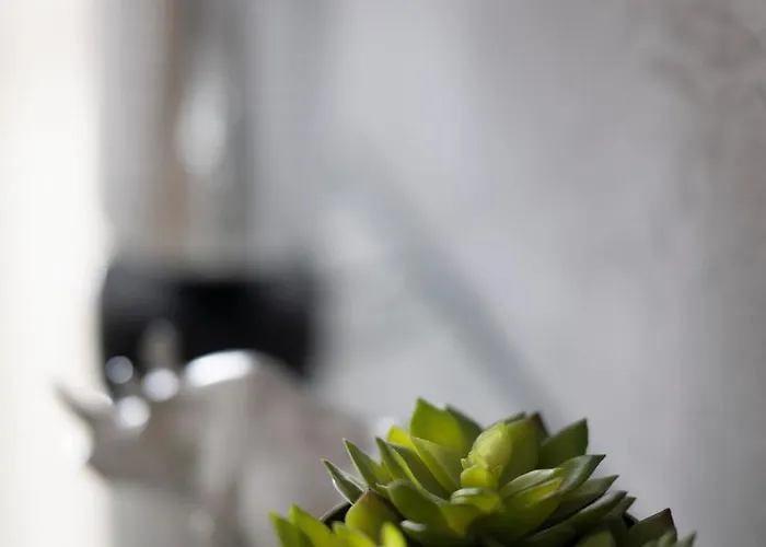 Wanessa شقة غدانسك