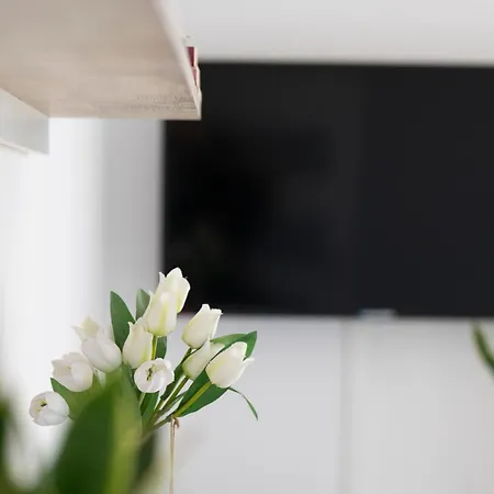 Apartament Wanessa *