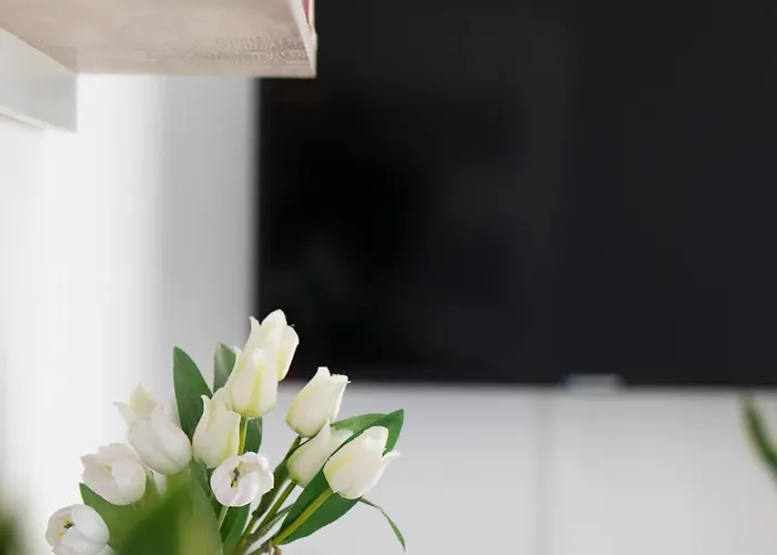 Apartament Wanessa *