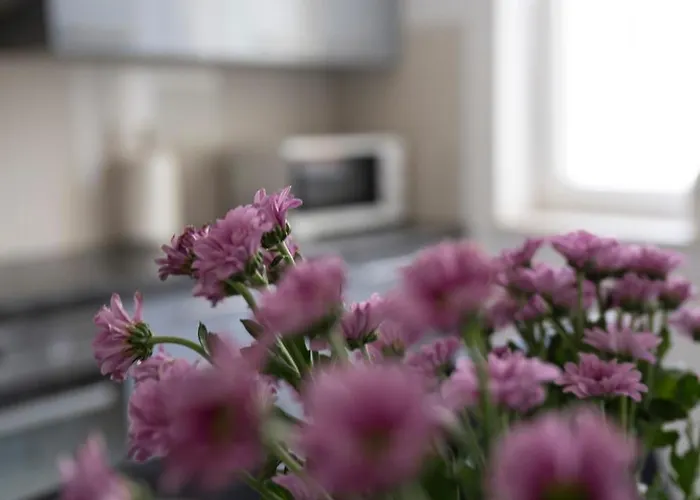 Apartament Wanessa Lägenhet